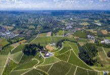 Capodanno: Coldiretti, in crescita anche in Basilicata