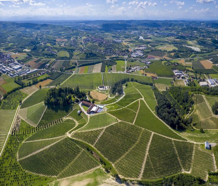 generico notizieinunclick