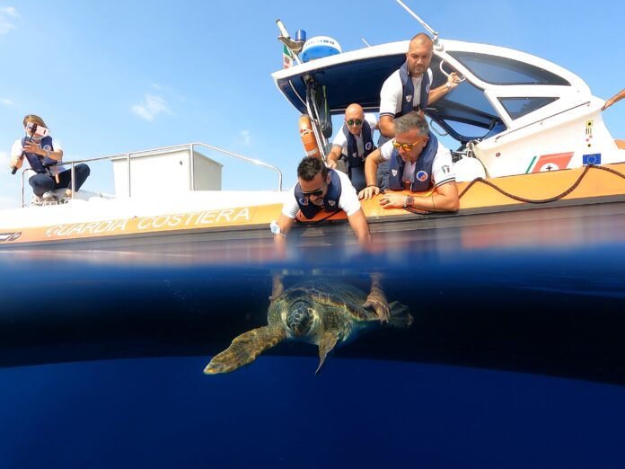 05.09.2021_rilascio Vangelina a Imperia