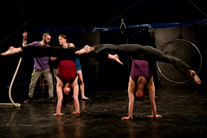 Collettivo6Tu-55 - Alessandro Campion