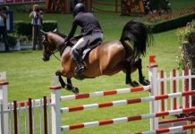 I 100 anni della grande equitazione a Roma