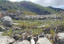 Appennino, imprese a caccia di lavoratori: a Vergato oltre 230 colloqui in un giorno