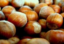 72ª FIERA NAZIONALE DELLA NOCCIOLA DI CORTEMILIA