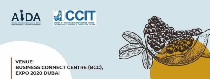 CAMERA DI COMMERCIO ALBANIA