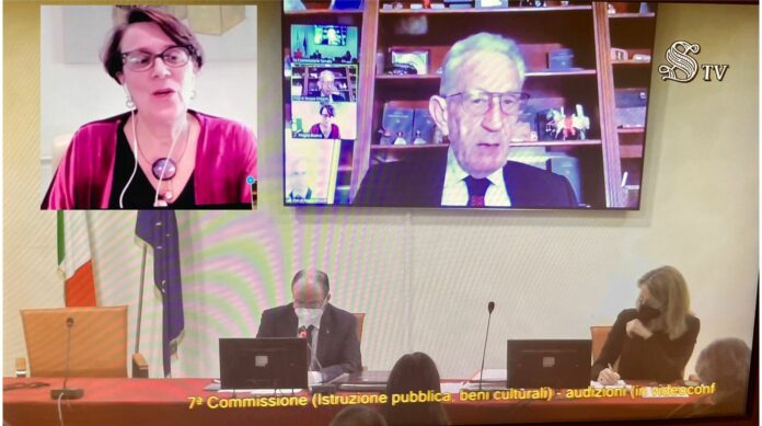 Ghisolfi Bianco audizione Senato