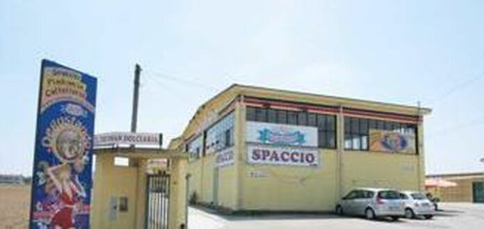 YS68I06G6000-1579--330x185.JPG?f=taglio_full2&h=605&w=1280&$p$f$h$w=7164df1