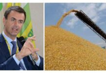 Prandini: liberare vino da catene burocrazie, dazi, barriere