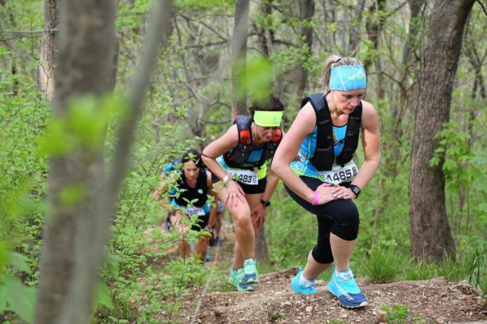 Duerocche_b_passaggio nel bosco