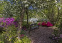 Consegna degli attestati del corso per “Manutentore del verde”