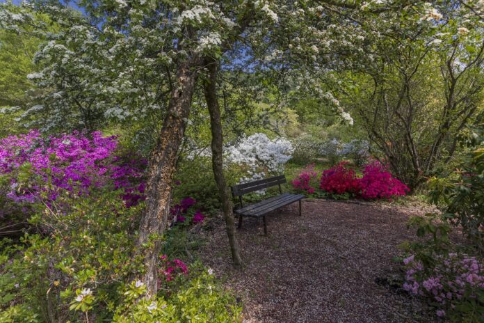 Giardino Viatori_foto┬®Luigi Vitale_4