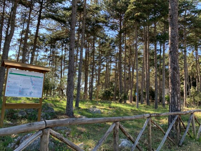 Calvi dell'Umbria Il Parco dei Mulini a vento