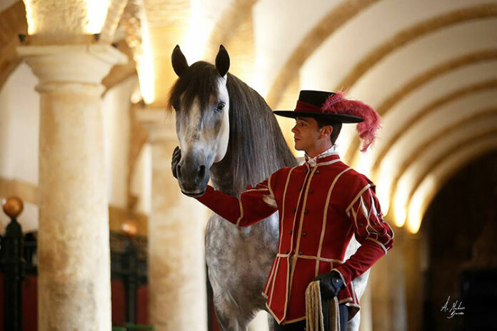 Cordoba Ecuestre