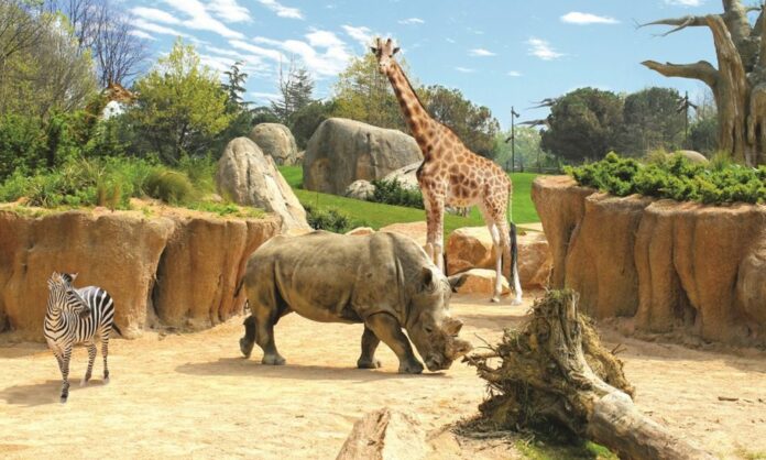 2726_zoom-torino-attivita-bambini