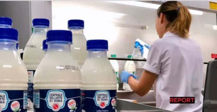 282327033_554233049591753_6318460507660762760_n