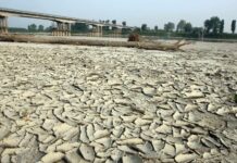 Clima estremo, Comuni in prima linea: siccità, aria avvelenata e mortalità crescente