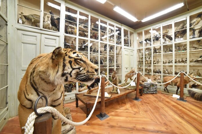 museo craveri social