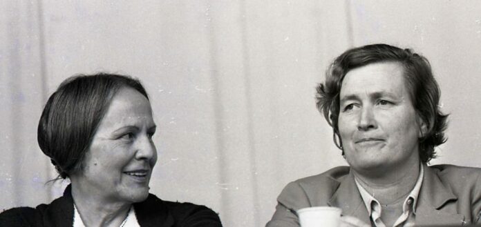 295322023_598821864935873_508174832683415651_n