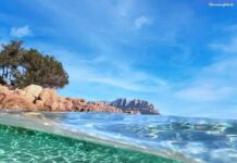 Argentina, rara medusa fantasma gigante filmata nelle profondità dell’Atlantico