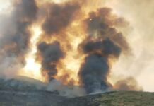 Antincendio, Corpo forestale: ammodernamento e potenziamento dei mezzi in corso con risorse esistenti