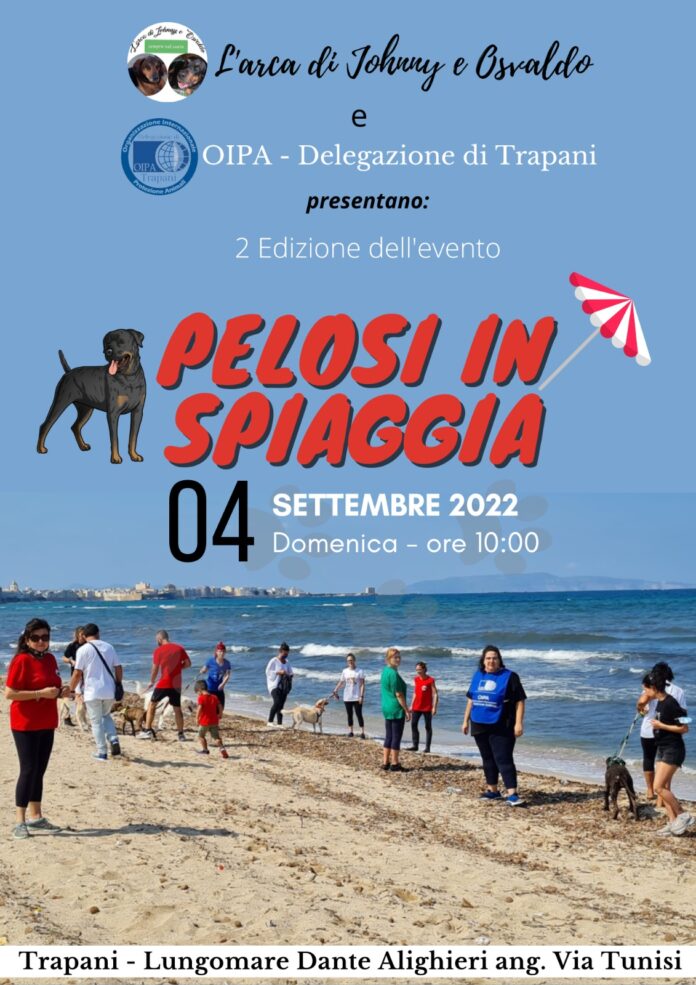 pelosi in spiaggia 22