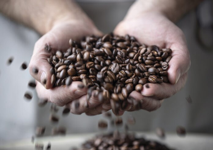 Chicchi di caffè - Caffè Vergnano