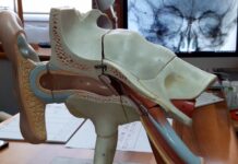 3 marzo 2026: 5ª Giornata mondiale dell’udito all’Aou di Sassari