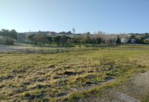 “In Appennino la vita ha più spazio”