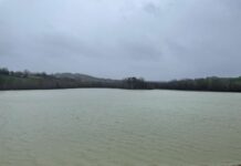 Lago Trasimeno, assessore Meloni: “Presto acqua anche dal canale Maranzano chiuso da anni, al via i lavori propedeutici alla sua riapertura”