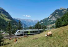Trentino, l’autunno in quota tra rifugi e grandi cammini