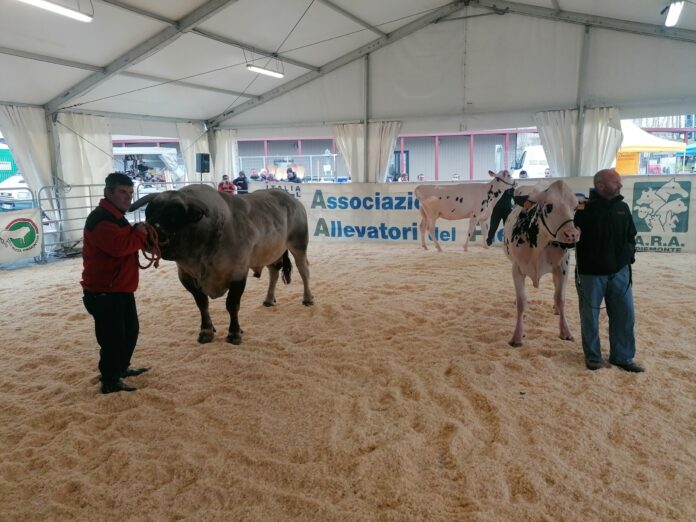 Fiera-Primaverile-Carmagnola-2022