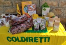 Prezzi: Coldiretti Basilicata, campi a rischio con +30% costi, serve intervento urgente Ue