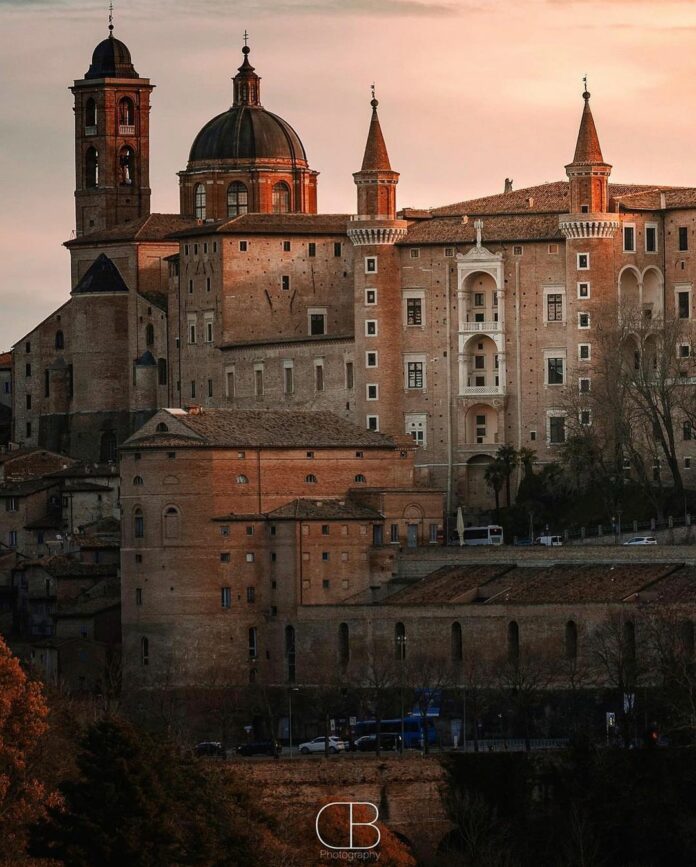 urbino