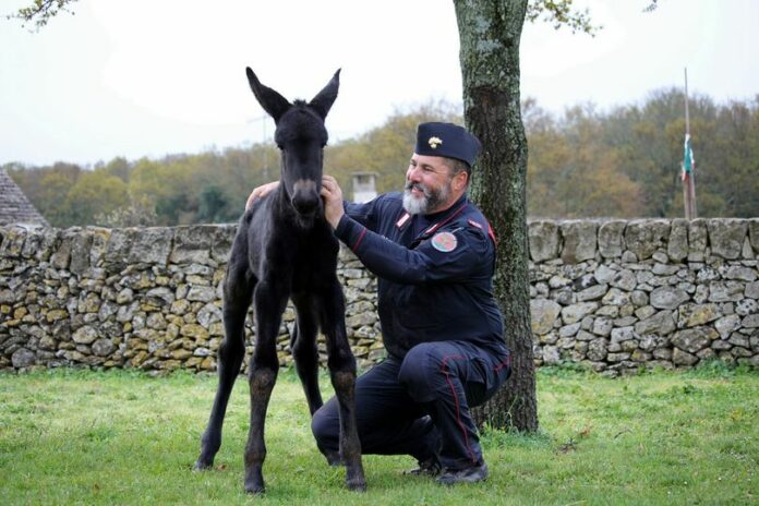 341506002_178449988418755_8234073431513013561_n