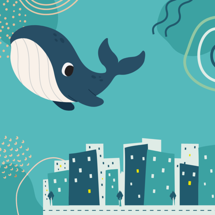 Call Una balena in città