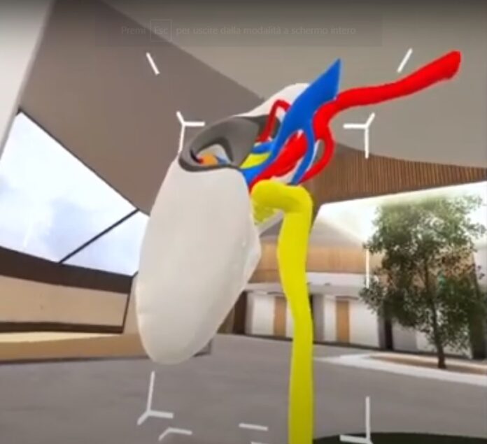 La chiururgia urologica entra nel metaverso (3)