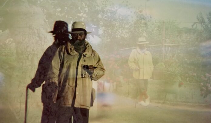 Lucio Dalla in Dallarte © Jonny Costantino