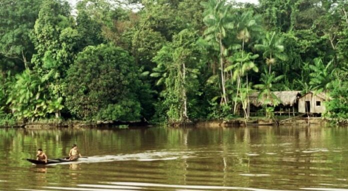 amazonia