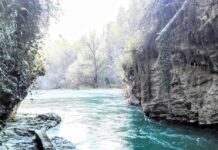 Ambiente Ferrara. Gianella (FdI): “La Regione intervenga per salvaguardare l’isola dell’Amore”