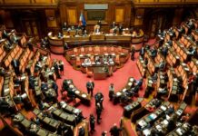 Melonellum: così la legge premia la confusione