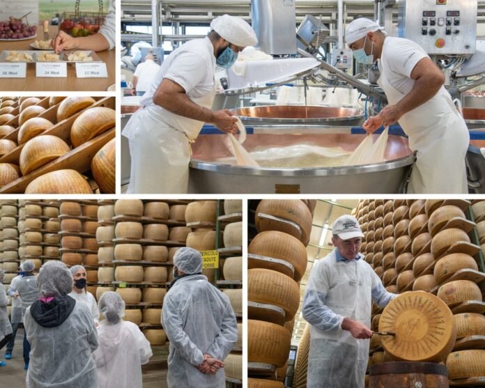 parmigiano reggiano