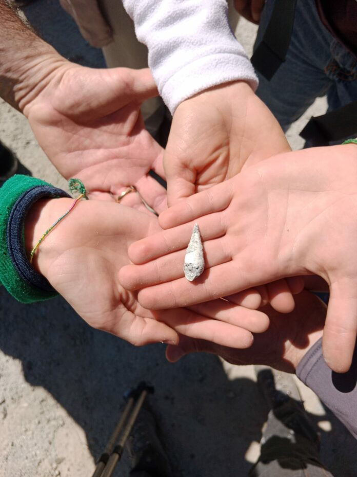 trekking alla foresta fossile- una conchiglia marina