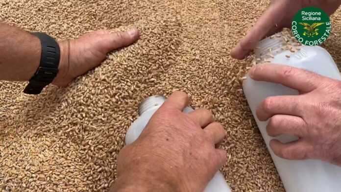 Controlli Noras Pozzallo (1)