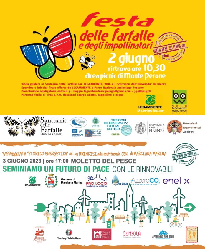 Festa delle Farfalle ed energia