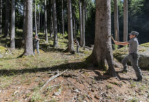 “Foreste di Puglia”, cresce la risposta dei territori