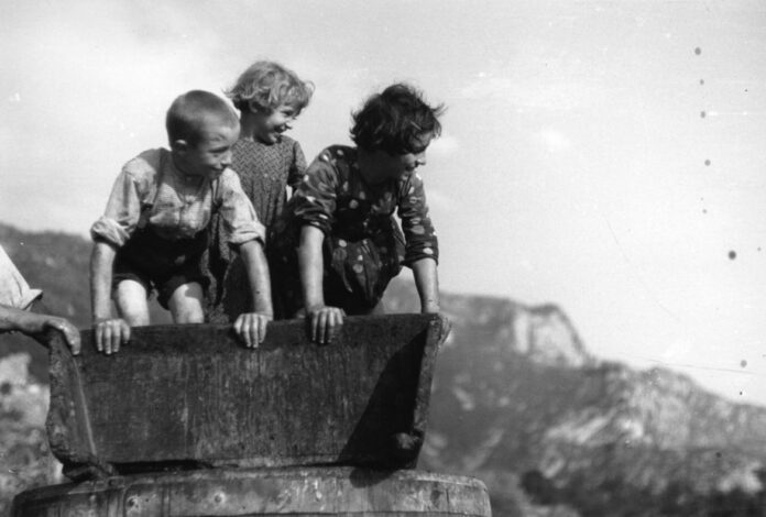 Flli-Pedrotti-La-pigiatura-dell-uva-1935-1950_imagefullwide