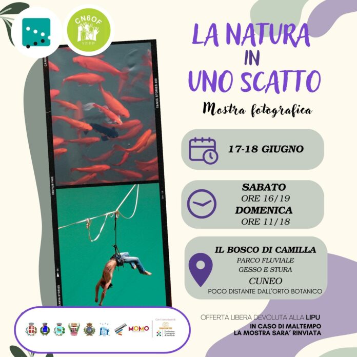 YEPPCN6OF locandine quadrate