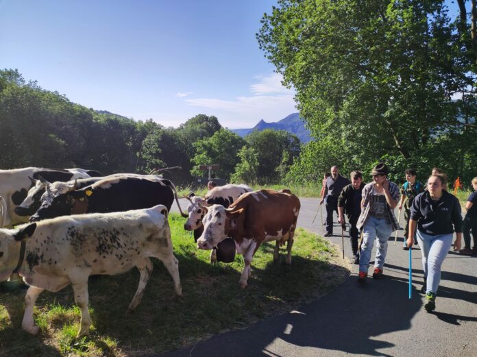 transumanza_Condove_repertorio_2