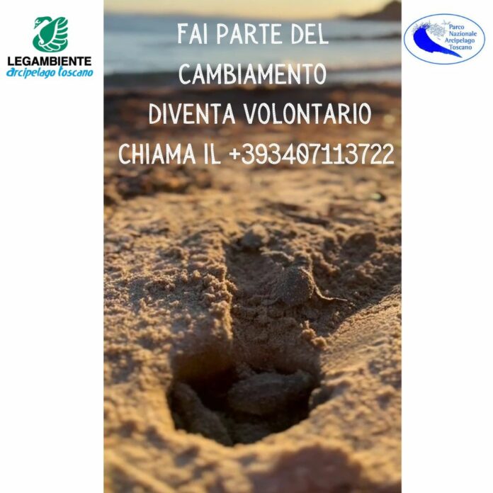 Cerchiamo volontari 5