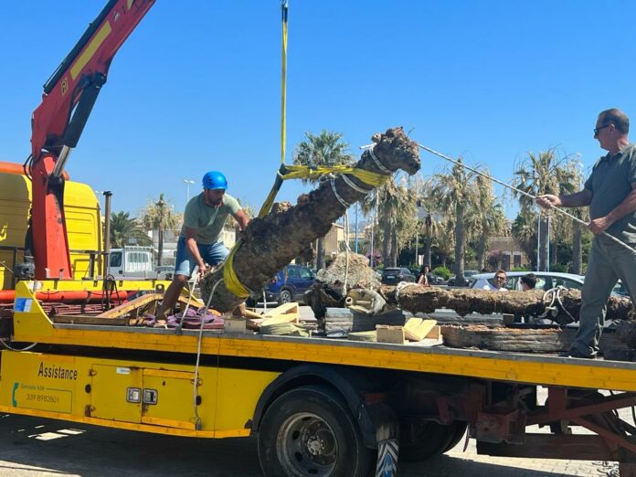 Relitto Scoglio Bottazza - Recupero reperto 2