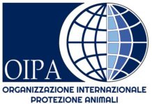 Lecce, condannato l’uomo che aveva investito e ucciso un cane dopo una lite in strada. OIPA parte civile